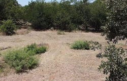 1016 SE 4th Avenue, Mineral Wells, TX 76067