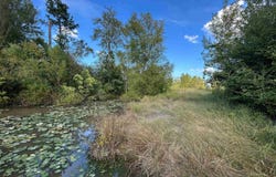 Polk Road 178, Mena, AR 71953