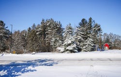ON SPRING RD, Rhinelander, WI 54548
