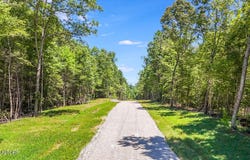 Twin Bridge Rd, Deer Lodge, TN 37726