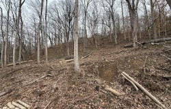 Tbd Kings Bay Drive, Kingsport, TN 37660