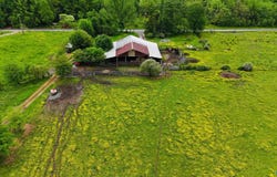 82.45 Echols Road, Elora, TN 37328