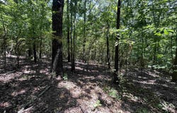 Cr 325, Pleasant Hope, AR 72396