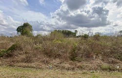 290 Ashwood Street SE, Orangeburg, SC 29115