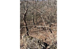 County Road 1750, Coalgate, OK 74538