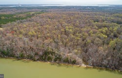 0 WELLINGTON, KING GEORGE, VA 22485