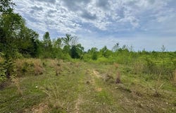 Tbd County Road 2742, Naples, TX 75568