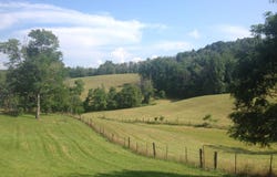 3944 Napier Ridge, Genoa, WV 25517