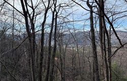 Maple Valley Lane lot: 207 & 220, Purlear, NC 28665