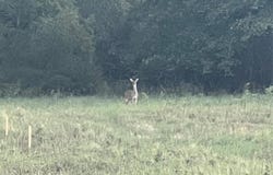136 Aslan Road, Poolville, TX 76487