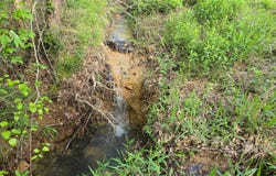TR 21&22 PINE TREE TRAIL, Albion, OK 74571