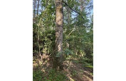 XXX HWY 70, Kirby, AR 71950