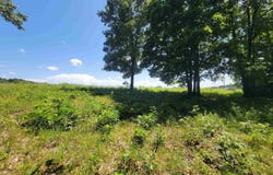 000-0008-000 HWY 160, Gainesville, MO 65699