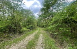 260 Box Elder Roads, Broken Bow, OK 74728