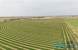 2675 S Roosevelt Road 3, Portales, NM 88130