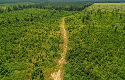 Old Warren Road, Monticello, AR 71655