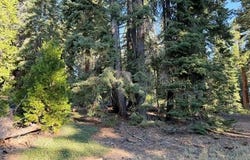 425 Upper Road, Tahoe City, CA 96145
