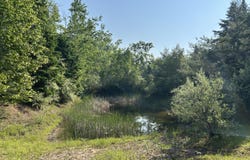 16831 Moores Landing Road, Lachine, MI 49753
