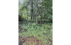 NE CASSIA Drive, Lee, FL 32059