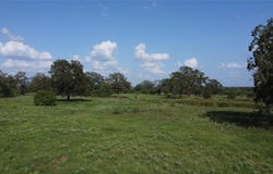 Tbd ZACK LOT 6 LN, Smithville, TX 78597