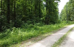 1 highway 1760, Louisa, KY 41230