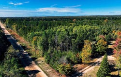 Westwood Road, Mancelona, MI 49659