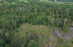 25A Kerley Point Road, Elizabeth, AR 72531