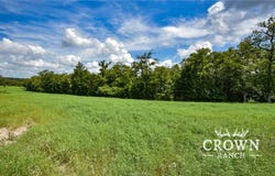 Tbd FM 908 (+/-1,057 acres), Caldwell, TX 77836
