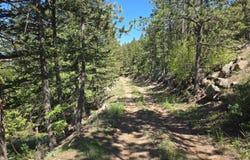 2587 Green Mountain Dr, Livermore, CO 80536