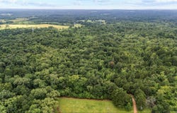 Tbd CR 1111, Kilgore, TX 75662