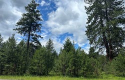 NHN Sapphire Lane lot: 13, Trout Creek, MT 59874