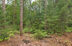 Parcel C 52nd Avenue, Mears, MI 49436