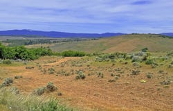 off Gnarly Oaks, Goldendale, WA 98620