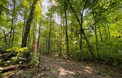 Turtle Lake Drive NW lot: 2, Walker, MN 56484