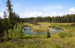 150 Schwegel Spur Road, Whitefish, MT 59937