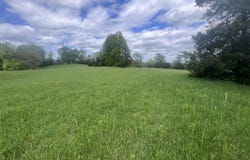 110 Witzel's Way, Mt Olivet, KY 41064