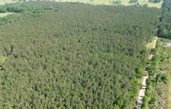 0 Oceola Rd, Folsom, LA 70446