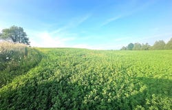Co Rd 358, Daggett, MI 49821