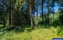 432 Chamberlain (Adj To) Rd, Falls City, OR 97344