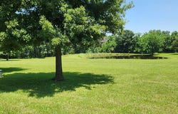 14795 South 1825 Road, Stockton, MO 65785