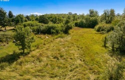 Territorial HWY, Elmira, OR 97437
