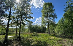 410 Hogg Hill, Lobelville, TN 37097