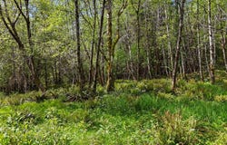 1420 Raymond-South Bend RD, Raymond, WA 98577