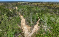 Parcel 3 Stephens Cemetery Rd., Silver Creek, MS 39663