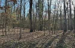 MISTY MEADOWS Lane, AUGUSTA, WV 26704
