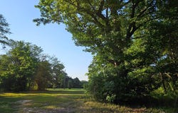 23 White Street, Sumter, SC 29150