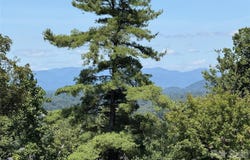 44 Leisure Mountain Road, Asheville, NC 28804