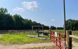 0 Warrington Road, Vaiden, MS 39176