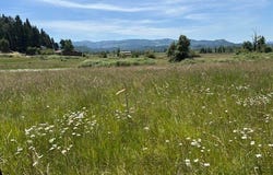 N Morningstar Road, Pleasant Hill, OR 97455