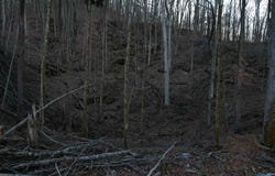 100 AC Dry Creek Road, Hollytree, AL 35751